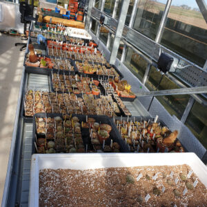 The propagation bench