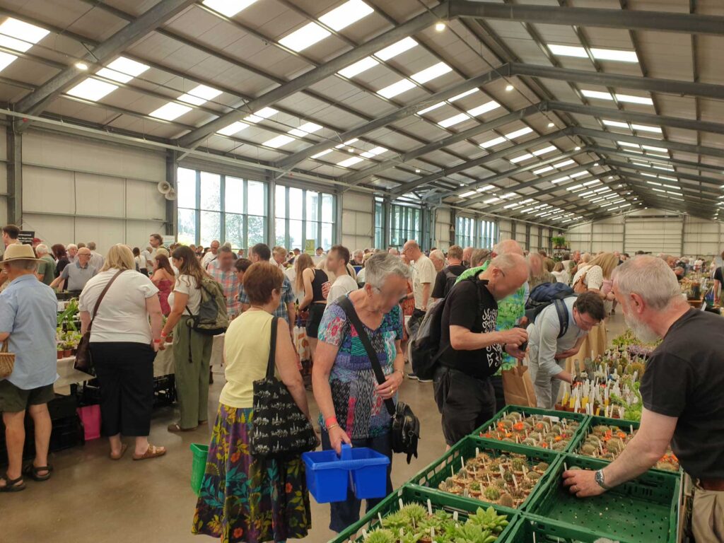 BCSS National Show 2026